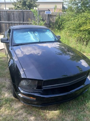 2008 Ford Mustang Bullitt for sale