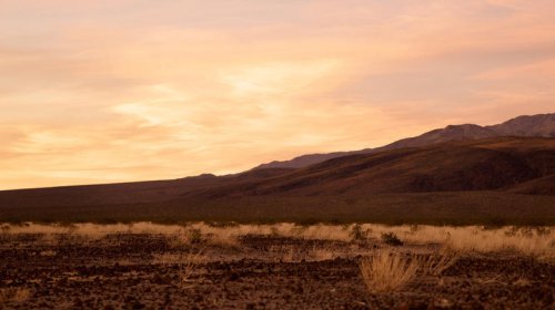 These are the states you'd never buy a car from