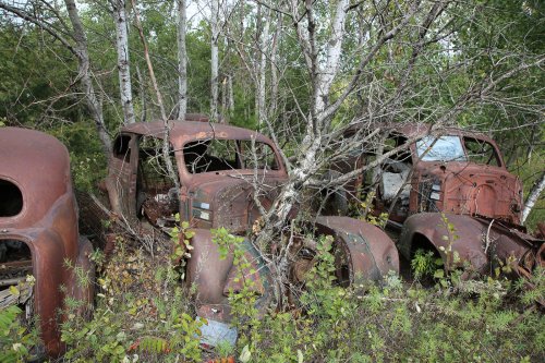 Descubrimientos de desguace de Windy Hill Auto Parts en New London, Minnesota