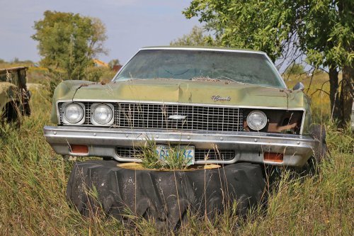Descubrimientos de desguace de Windy Hill Auto Parts en New London, Minnesota