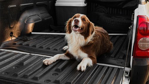 10 pickup trucks that cost the most to maintain & 10 that cost the least