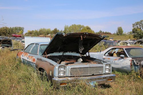 Descubrimientos de desguace de Windy Hill Auto Parts en New London, Minnesota