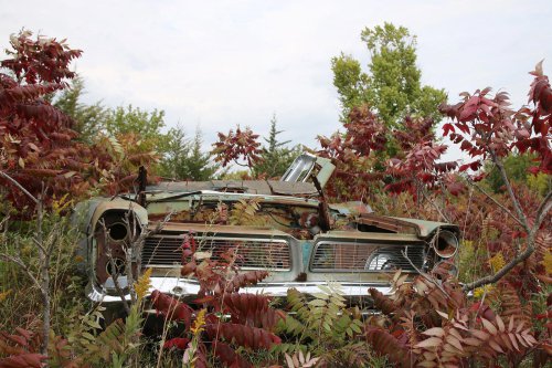 Descubrimientos de desguace de Windy Hill Auto Parts en New London, Minnesota