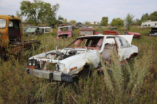 Descubrimientos de desguace de Windy Hill Auto Parts en New London, Minnesota