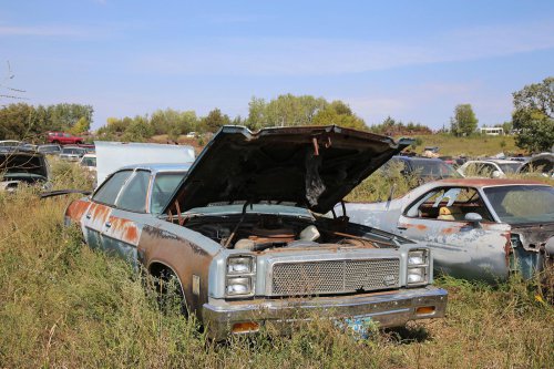 Junkyard discoveries of Windy Hill Auto Parts in New London, Minnesota