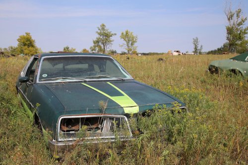 Descubrimientos de desguace de Windy Hill Auto Parts en New London, Minnesota