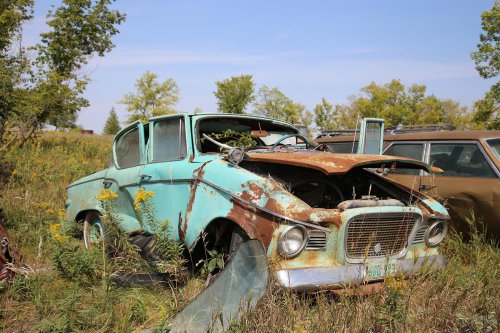 Descubrimientos de desguace de Windy Hill Auto Parts en New London, Minnesota
