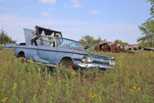 Junkyard discoveries of Windy Hill Auto Parts in New London, Minnesota