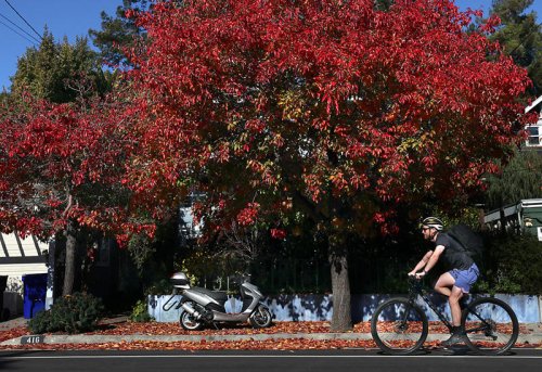 Photos | Cycling on the Santa Cruz bikeway