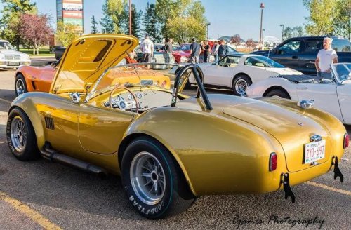 2008 Factory Five Roadster