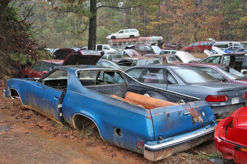 Some interesting junkyard finds at Collins Auto Salvage in Auburn, Georgia