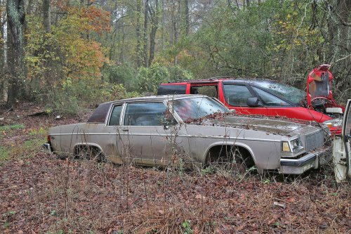 Some interesting junkyard finds at Collins Auto Salvage in Auburn, Georgia