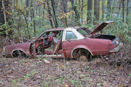 Las joyas del desguace de Collins Auto Salvage en Auburn, Georgia