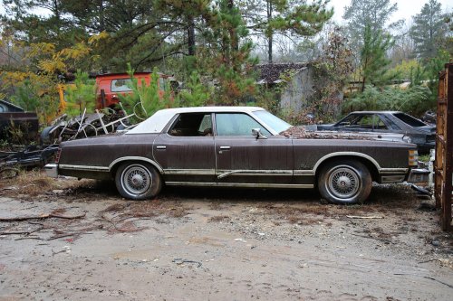 Las joyas del desguace de Collins Auto Salvage en Auburn, Georgia