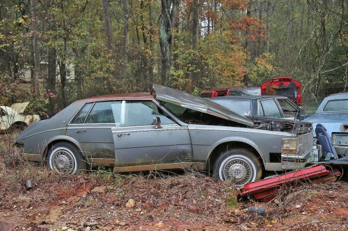 Las joyas del desguace de Collins Auto Salvage en Auburn, Georgia
