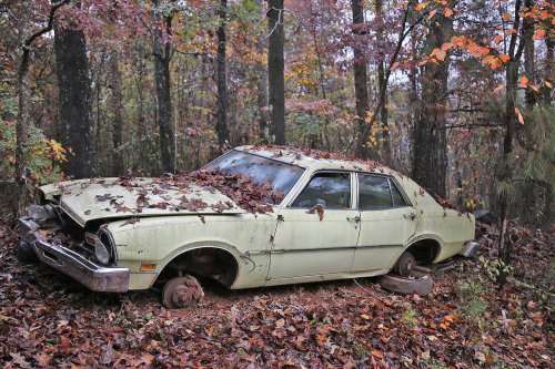 Las joyas del desguace de Collins Auto Salvage en Auburn, Georgia