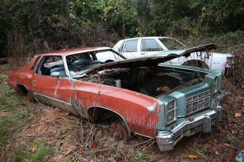 Las joyas del desguace de Collins Auto Salvage en Auburn, Georgia