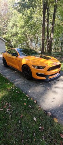 2018 Shelby GT350