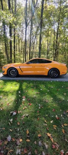 2018 Shelby GT350