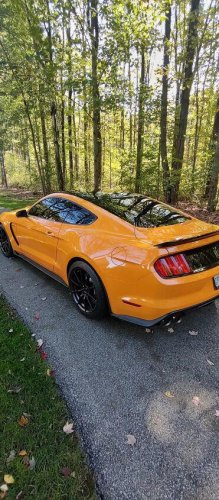 2018 Shelby GT350