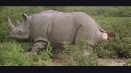 'Butt birth' rhino from 'Ace Ventura: When Nature Calls' is up for auction and it's practically a car