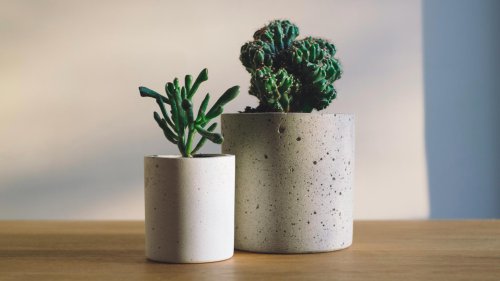 20 things you should never leave unsecured in your car