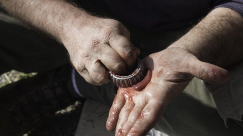 5 wheel bearing myths it's time to set straight