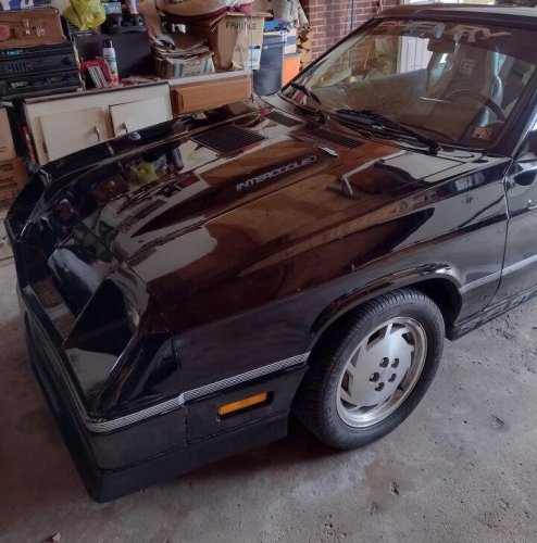 1987 Shelby Charger for sale