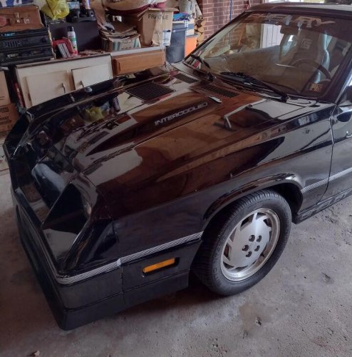 1987 Shelby Charger
