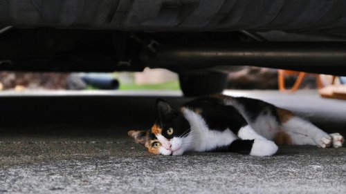 10 things to always check before driving your car &amp; 10 easy maintenance tips