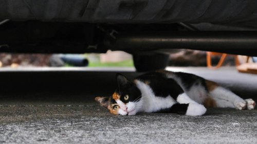 10 things to always check before driving your car &amp; 10 easy maintenance tips