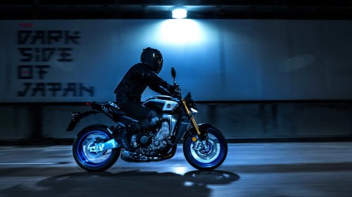 The performance bike that doesn’t demand constant attention