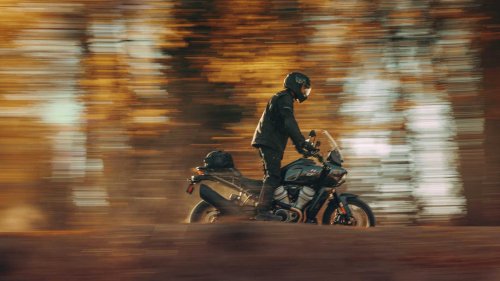 10 Harley-Davidson models that hold value shockingly well