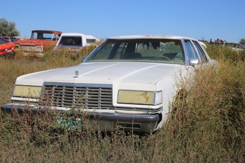 All-new: Junkyard gems of Woller Auto Parts, Lamar, Colorado
