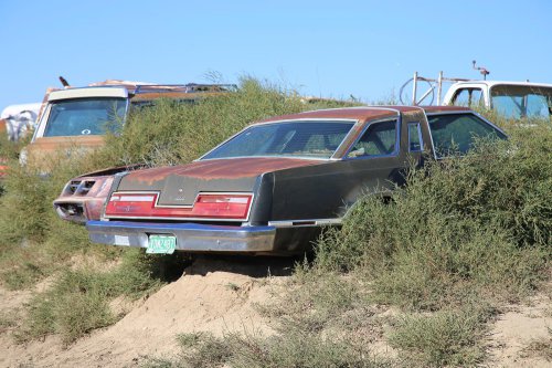 All-new: Junkyard gems of Woller Auto Parts, Lamar, Colorado
