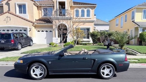 Ford, Ford Mustang, Ford Mustang GT, Ford GT, At $7,500, could you horse around in this 1999 Ford Mustang GT?