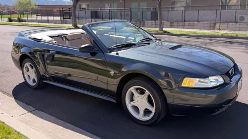 Ford, Ford Mustang, Ford Mustang GT, Ford GT, At $7,500, could you horse around in this 1999 Ford Mustang GT?
