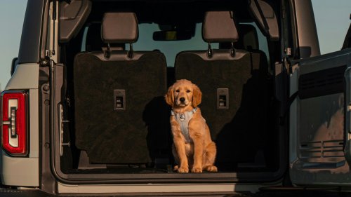 10 things you need to stop leaving in your trunk &amp; 10 you can