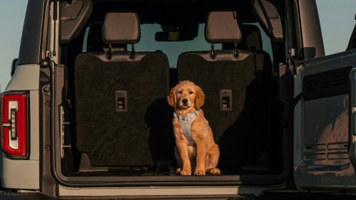 10 things you need to stop leaving in your trunk &amp; 10 you can