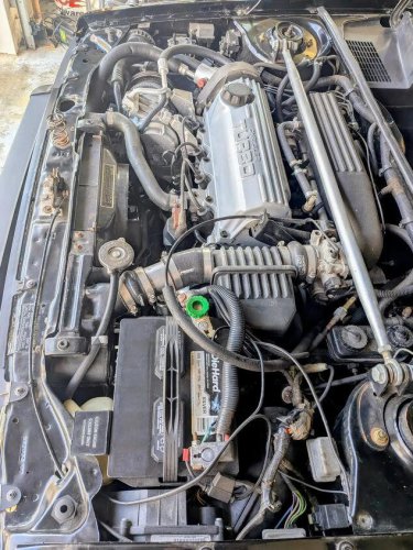 1986 Dodge Omni for sale