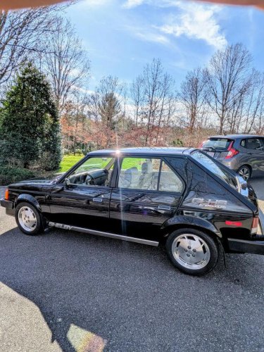 1986 Dodge Omni for sale