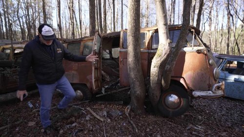 An entire forest filled with rotting classic cars has people asking big questions