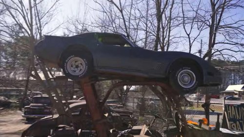 An entire forest filled with rotting classic cars has people asking big questions