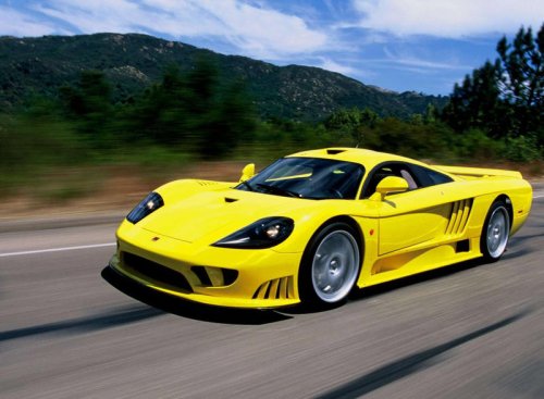 Saleen, Raw and race-bred, the Saleen S7 offers Enzo speed for far less