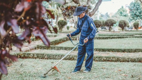 10 men who don’t need a pickup truck &amp; 10 who actually do