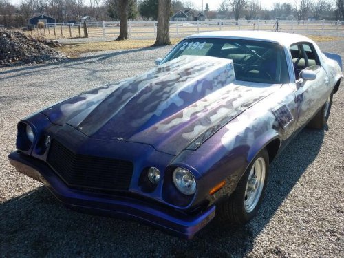 Chevrolet, 1975 Chevrolet Camaro for sale