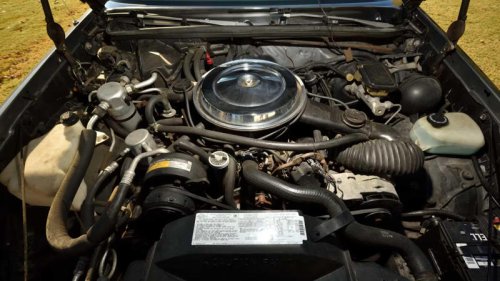 The last real Oldsmobile muscle car is a collector bargain