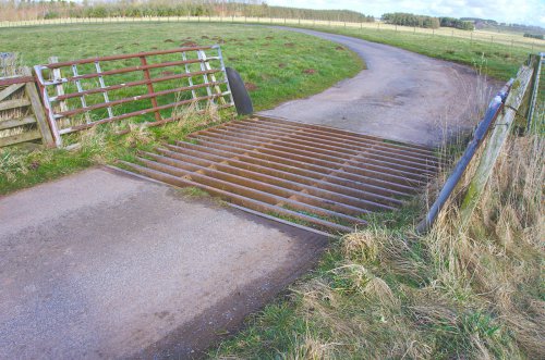 The most famous firsts in the auto world