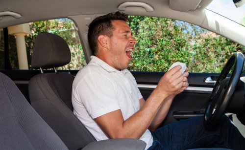 Conducir con alergia en primavera: peligros y claves antes de viajar en Semana Santa