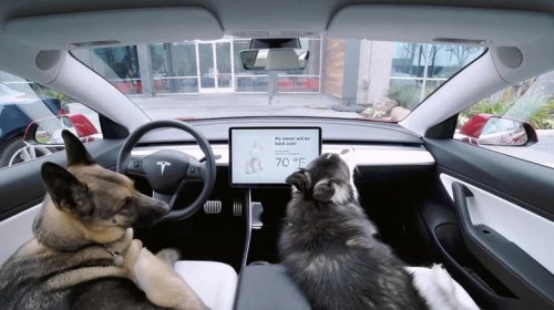Tesla, 8 coolest Tesla interior features you need to know about